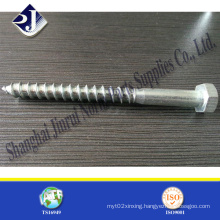 Made in China Wood Screw